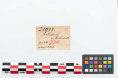 Etikett zu Bronzerollenkopfnadel (NHMW-PRAE-025988)